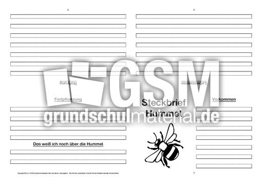Hummel-Faltbuch-vierseitig.pdf